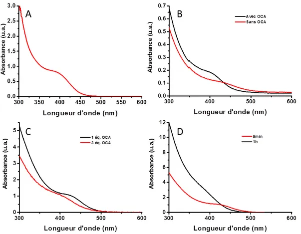 Figure 35. Spectres d'absorbance  de  formation  de  NCx  d’InP  (A)  dans  le toluène  avec  1 équivalents  d’OCA,  (B) dans  la TOP  avec  (en noir)  et sans l’ajout  (en rouge) d’OCA,  (C)  à 80 °C dans le toluène avec 