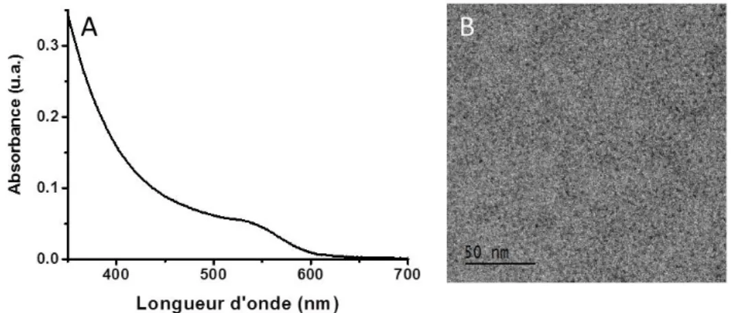 Figure 43. (A) Spectre d'absorbance  et (B) image de MET  de NCx  d'InP  synthétisés avec la  tripyrrolidinophosphine  et InCl 3 dans  l’OLA