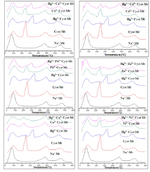 Figure  (V.  2) :  courbes  d’analyses  thermiques  de  la  Mt,  du  composite  cystéine-Mt,  du  composite Hg 2+ cystéine-Mt et des composites Hg 2+ /cation cystéine-Mt