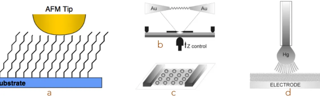 Figure 1.14: Illustration des méthodes de contact citées au-dessus. (a) : Mesure avec une pointe AFM conductrice