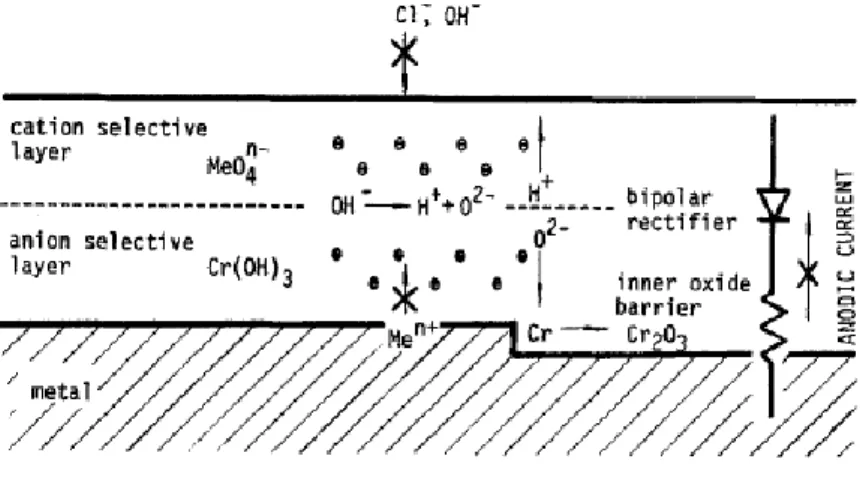 Figure 1.4 : Représentation schématique du comportement bipolaire du film passif formé sur l’acier  inoxydable [Lu, 1985]