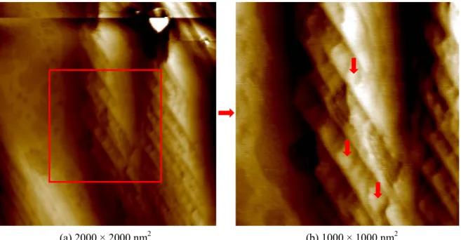 Figure 3.9 : Images AFM topographiques de la surface Fe-17Cr-14,5Ni-2,3Mo(100) couverte d’oxyde  natif : (a) 2000 × 2000 nm 2 , ΔZ = 16 nm ; (b) 1000 × 1000 nm 2 , ΔZ = 6 nm 