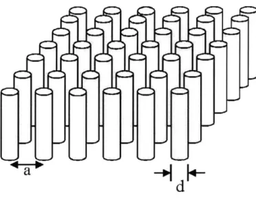 Figure  4.  Two  dimensional photonic  crystal made of rods with  lattice constant a  and diameter d