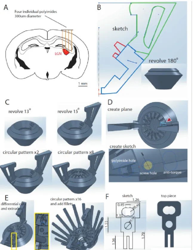 Figure 1. Designing the hyperdrive in Solidworks. A. Schematic of a coronal section of a mouse brain at A/P coordinates -2.3 – -2.7 mm from bregma