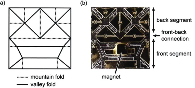 Figure  3-13:  (a)  Origami  pattern  for  our  untethered,  self-folding,  walking,  swimming robot