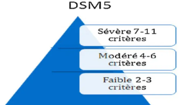 Figure 6 Niveaux de gravité de la dépendance (DSM-5)(14) 