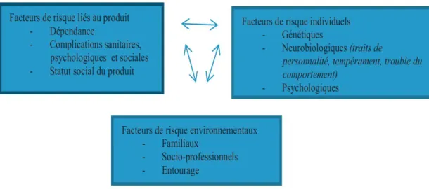 Figure 7 Interaction entre le produit, l'individu et son environnement : facteurs de risque(14) 