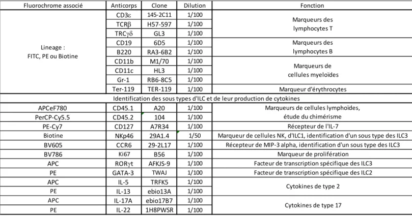Tableau 1 : Liste des anticorps utilisés, de leurs clones, de leur dilution et de la fonction du  marqueur étudié 