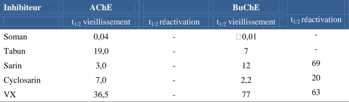 Figure 8. Processus de vieillissement et de réactivation spontanée de l’adduit. EOH se rapporte à  l’AChE ou la BuChE native