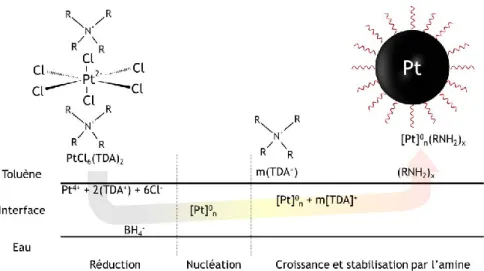 Figure 2-2 : Schéma réactionnel lors de la formation des nanoparticules de platine (modifié  d’après  8 )