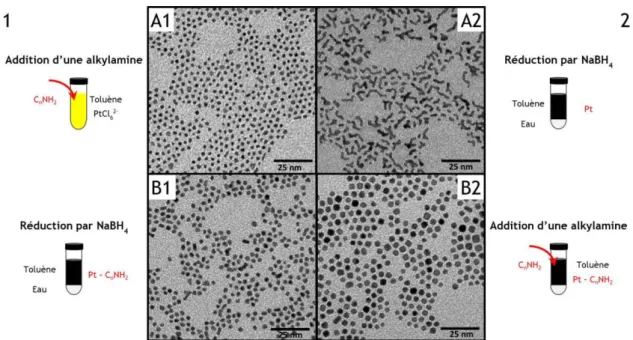 Figure 2-5 : Images MET de nanoparticules de Pt - C 8 NH 2  obtenues en ajoutant l’agent stabilisant  (1) avant et (2) après la réduction, (A) à l’air et (B) en boîte à gants (modifié d’après  185 )