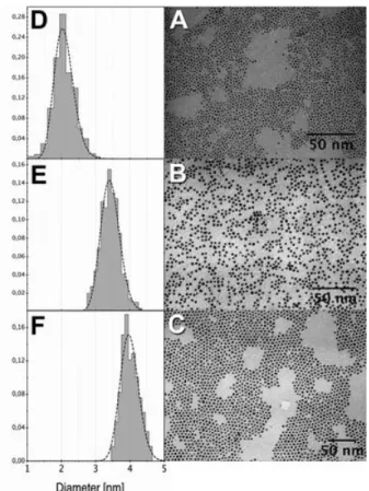Figure 2-16 : Images MET et les histogrammes  associés de nanoparticules de Co 50 Pt 50  – C 8 NH 2