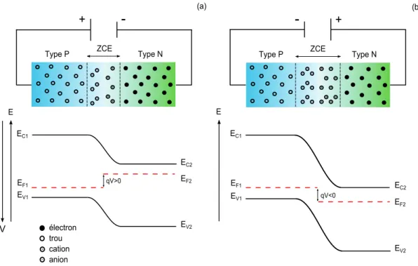 Figure 1.2.: Diagramme énergétique d’une jonction p-n lors d’une polarisation di- di-recte (a) et inverse (b).