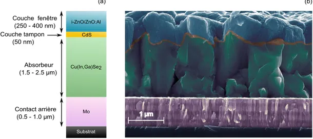 Figure 1.7.: Structure d’une cellule solaire à base de CIGS. (a) Schéma de l’empi- l’empi-lement des différentes couches, (b) image d’une coupe transverse au microscope électronique à balayage MEB.