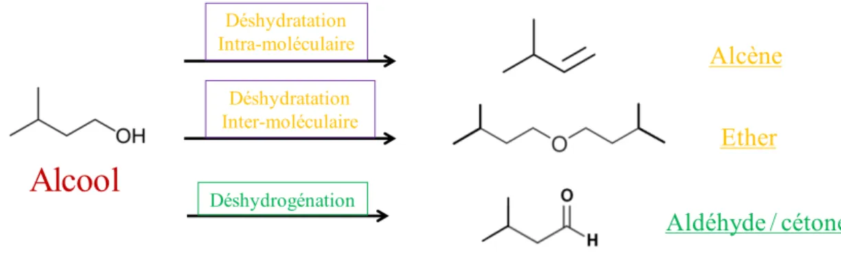 Figure  I-6 :  Réactions  principales  mises  en  jeu  dans  la  conversion  des  alcools  sur  un  catalyseur  hétérogène