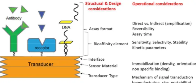 Figure 9 : Relations générales entre la conception et les caractéristiques opérationnelles des  biocapteurs d’affinité