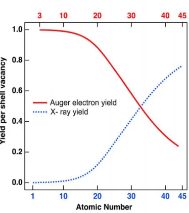 Figure 1.1 – Représentation des rendements de désexcitation par effet Auger et fluores- fluores-cence X en fonction du numéro atomique de l’atome.