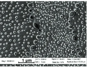 Figure 4.8. Micrographie MEB de la surface d’un alliage Fe-0.5% Mn-0.1% Si (% pds.)  recuit pendant 60 secondes à 800°C sous N 2 - 5% vol.H 2  [Ollivier-Leduc2009]