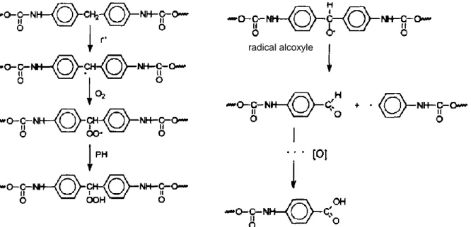 Figure I-7 - Radio-oxydation des segments rigides aromatiques et évolution du radical alcoxyle formé (Wilhelm et  al., 1998)