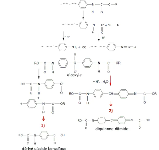 Figure I-9 – (a) Rupture de la liaison C-O dans le groupe uréthane dans les segments rigides aromatiques lors la  radio-oxydation