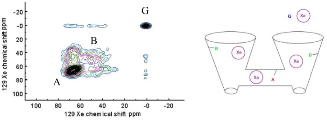 Figure 20 : Spectre 2D-Echange et schéma représentant le réseau  poreux de silicium déduit de l’expérience RMN [Knagge, 2006]