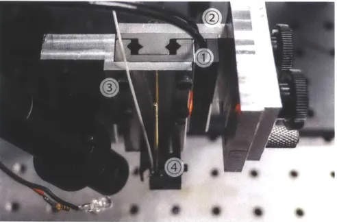 Figure  2-8:  A  photograph  of the piezo  motion stage.  1)  Piezoelectric  motorized  stage.