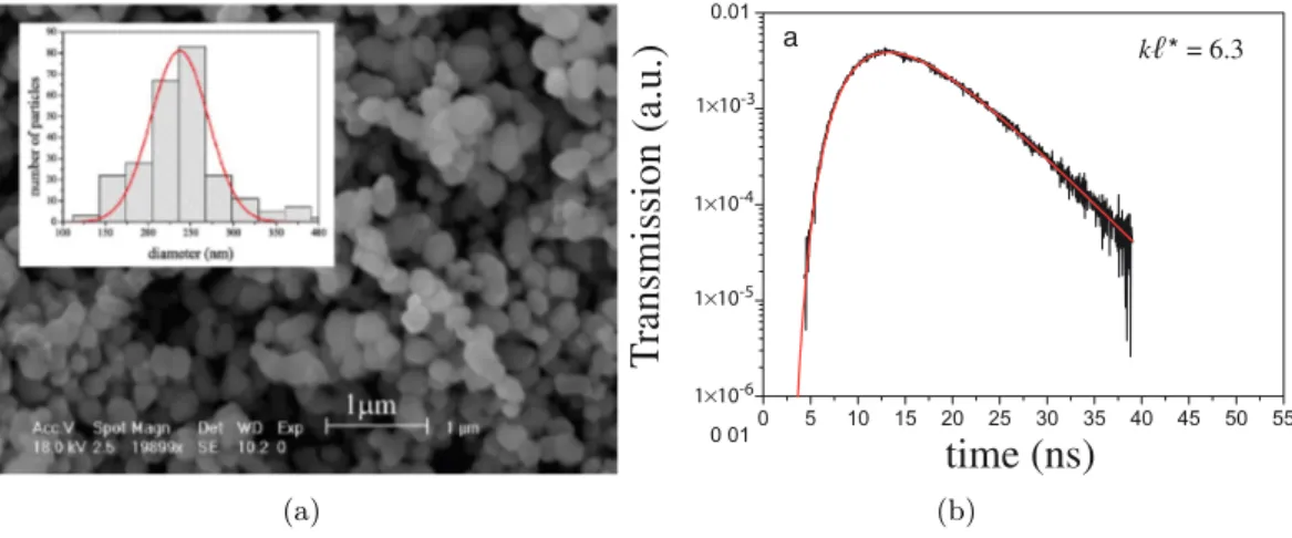 Figure 1.4 – Le transport des photons dans une poudre d’oxyde de titane (TiO 2 ) obéit à l’équation de la diffusion (a) Photographie en microscopie électronique d’un échantillon (histogramme des tailles des grains en encart)