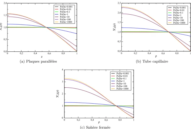 Figure 2.2 – Profil transversal du déséquilibre chimique en fonction de P eDa (a) entre deux plaques parallèles, (b) dans un tube capillaire et (c) dans une sphère fermée.