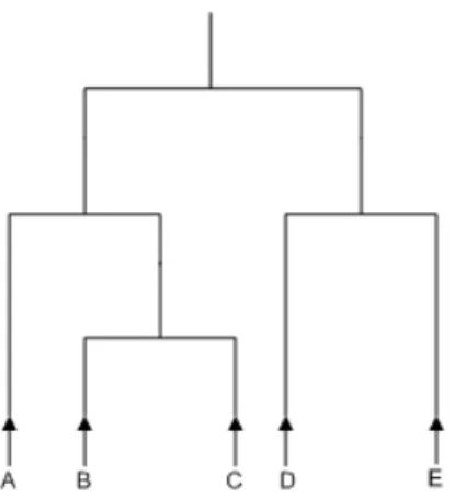 Figure 5-1: An example of a cluster tree for the elements {A, B, C, D, E}. The clusters are {A}, {B}, {C}, {D}, {E}, {B, C}, {D, E}, {A, B, C}, and {A, B, C, D, E}.