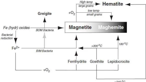 Figure  7  :  Schéma  des  différents  chemins  menant  vers  la  formation  de  formes  de  grains  magnétiques  (Linford 2006) 