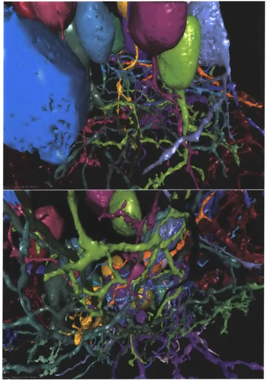 Figure  5-5:  Visualization  of watershed  segmentation  on  a  20003  volume