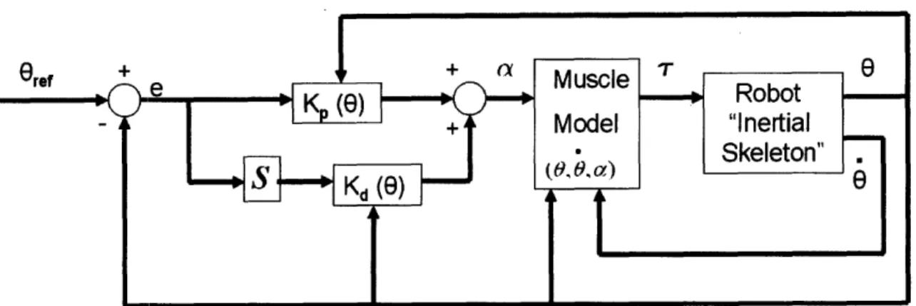 Fig. 4:  A  block  diagram  representing the control  strategy  used  in the balance  simulation,  implementing  PD control  with gains  that change as  a function of joint  angle.