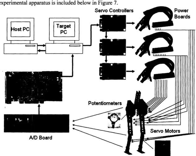 Fig  7: A  diagram  depicting  the apparatus  used  to control  the  robot, illustrating  the flow  of information  from the target  PC to the  plant  via servo  motors,  and  back to the target PC  via  potentiometer  signals.