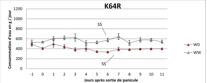 Figure 3 :  Evolution de la transpiration moyenne quotidienne  des plantes  bien irriguées (WW) et en  déficit hydrique (WD), pour le génotype  K64R sur la période d’analyse en chambre de culture