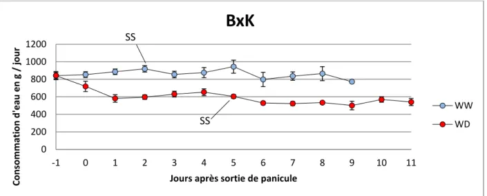 Figure 4 :  Evolution de la transpiration moyenne quotidienne  des plantes  bien irriguées (WW) et en  déficit hydrique (WD), pour le génotype B73xK64R sur la période d’analyse en chambre de culture