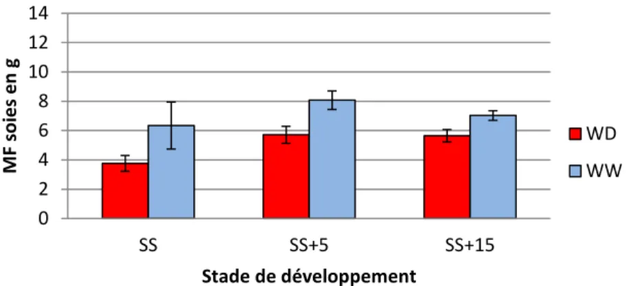Figure 13 : Masse fraiche moyenne des soies par épi à 3 stades de développement pour les plantes  bien irriguées  (WW) et en déficit hydrique (WD), pour le génotype  B73