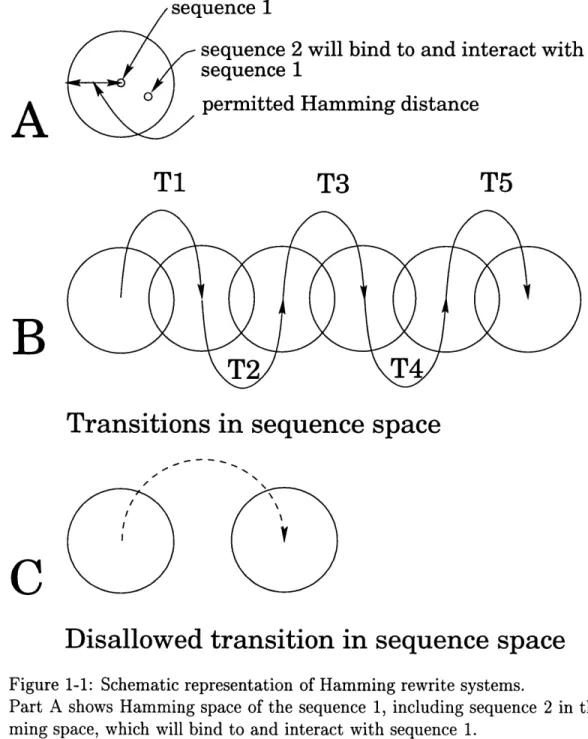 Figure  1-1:  Schematic  representation  of  Hamming  rewrite  systems.