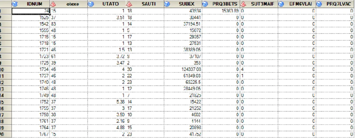 Tableau 1 : extrait de la base des micro données du RICA 