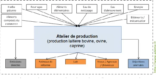 Figure 6 : description des processus intervenant dans l'ACV de la production de lait 