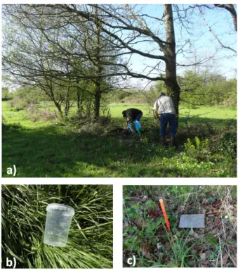 Figure 2.3 – a) Installation des pots-pièges dans une bordure de parcelle ; b) pot-piège vide ; c) pot-piège installé