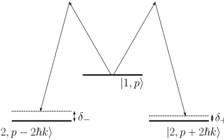Fig. 3.19 Principe des transitions Raman utilisées pour réaliser une séparatrice à double diffraction.