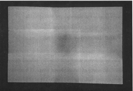 Figure  2-5:  Image  of  the  green  channel  in  the  process  of  being iterated