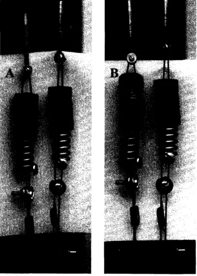 Figure 4 A:  Series  elastic  elements at rest.  The only &#34;preload&#34;  tension in the system  is generated by the very weak springs  inside the plastic spring caps