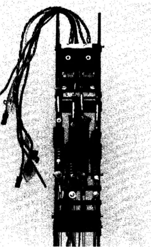 Figure 5: The interference  of adjacent  elastic  elements  is evidenced by the displacement of the turnbuckles  above  them