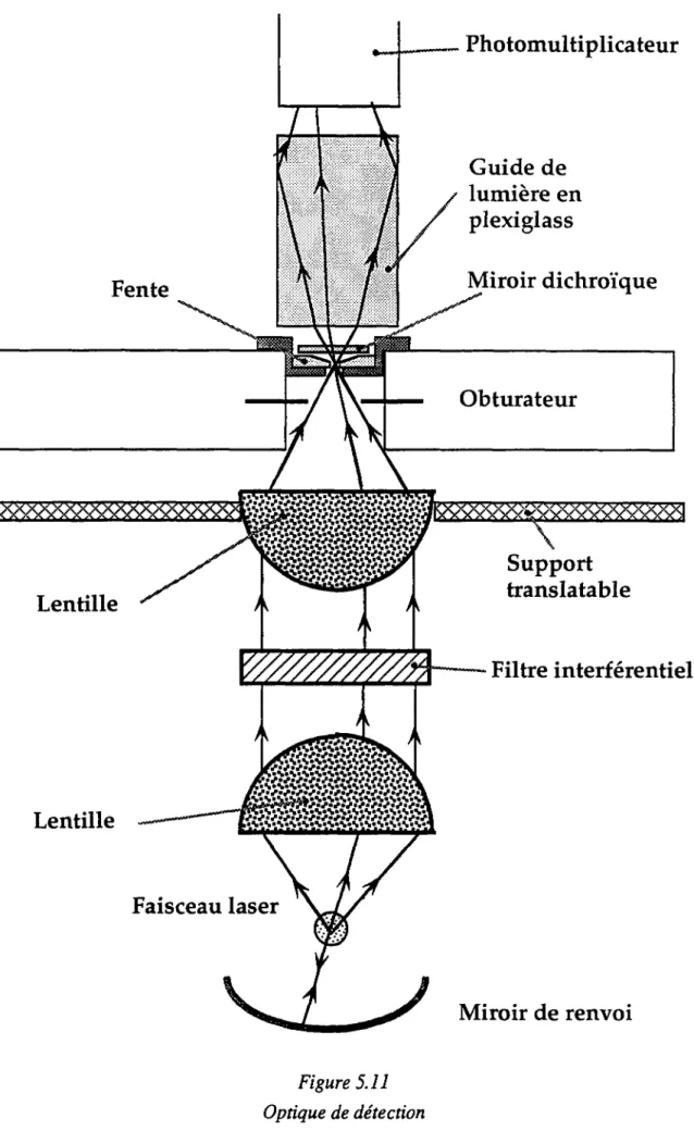 Figure  5.11  Optique  de détection