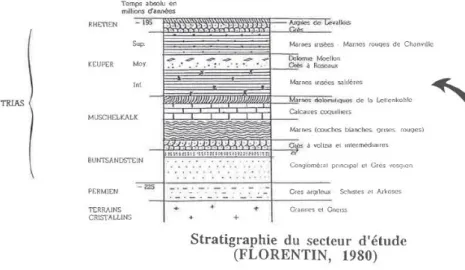 Figure 2 : Profil géologique de la vallée de la Seille (DELONGLEE, 1995) 