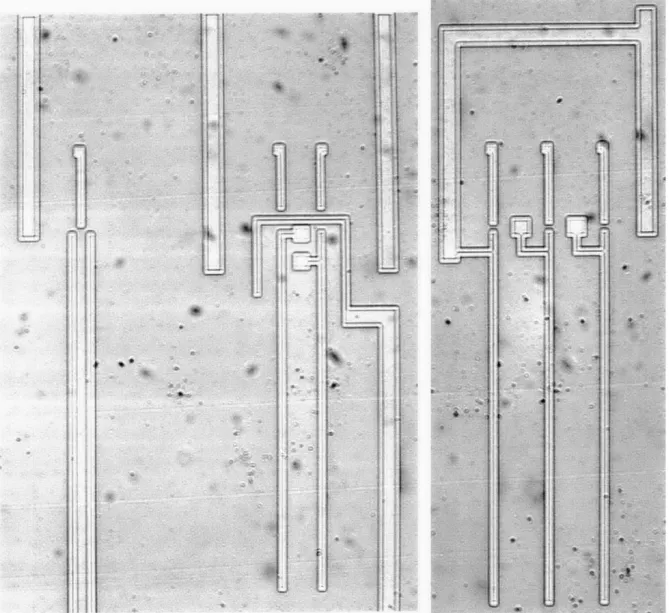 Figure  3-6:  Patterned  gate  for  a  NOR  gate,  SRAM  cell,  and  ring  oscillator.