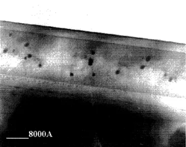 Figure  33:  XTEM  micrograph  of a region  typical  of most  areas  of the  nGaP/GaAs sample