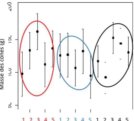 Figure  11 :  Prédictions  de  la  masse  des  cônes  en  fonction  des  différents  niveaux  d’altitude  en  Issole  (rouge),  Vésubie  (bleu)  et  Ventoux  (noir)