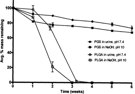 Fig.  12:  Mass  loss  of PGS  and PLGA from  in vitro  hydrolytic  degradation  over a  six  week time  period  at 37  OC